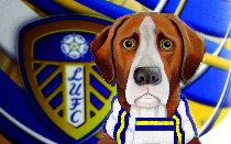 Leeds United News Hound